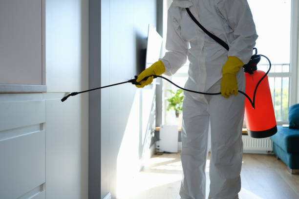 Best Mold removal after water damage  in Montello, WI